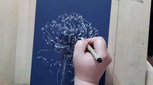 Первый пион из моего сада / Рисую ПИОН линером и гелевой ручкой / Графика / Peony drawing