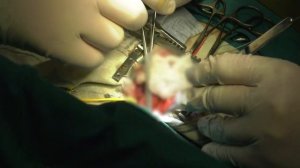 Детская кардиохирургия_ спасая жизнь. 2 ч.