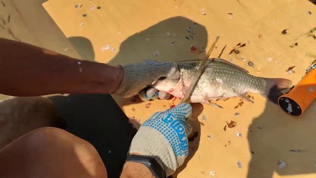 Карася чистим смотреть онлайн