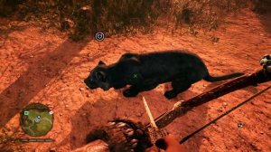 Far Cry Primal Гайд по всем животным