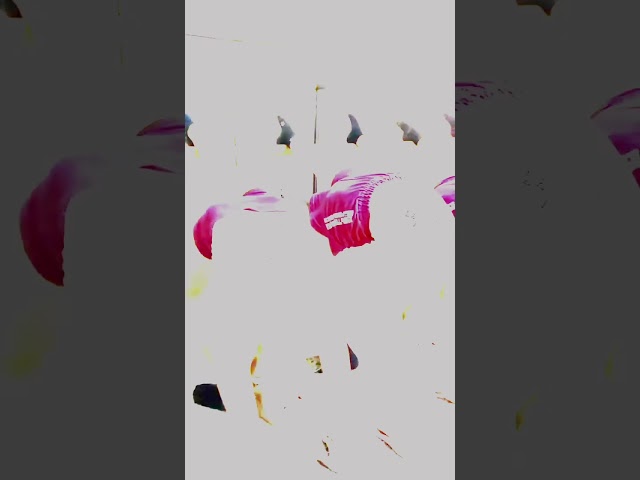 Рабочий процесс