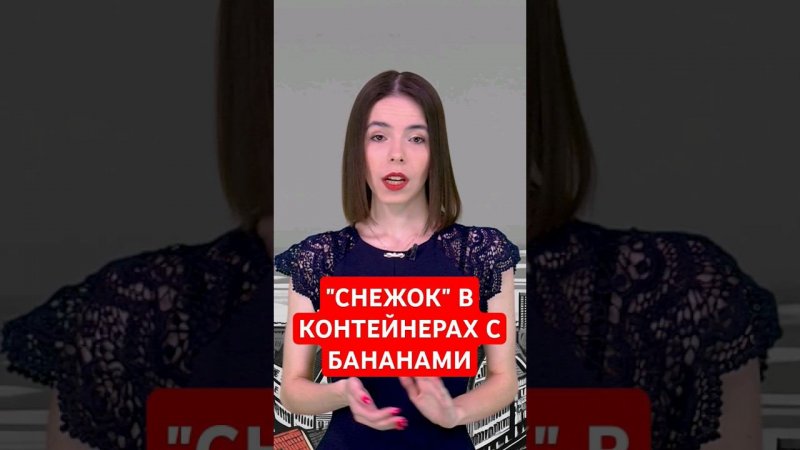 Амстердам нервно курит в сторонке #папочкаканцлера #новости #германия
