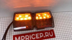 Комплект задних фонарей Фристом для лодочных прицепов. Один из фонарей с подсветкой номера.