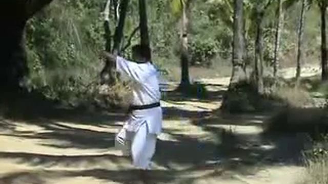 ШАН ГИ ( стиль мастера У ТАУНГ ДИНА)  - U Nyunt Din . SHAN GYI (martial arts) _ HAND ATTACK DANCE