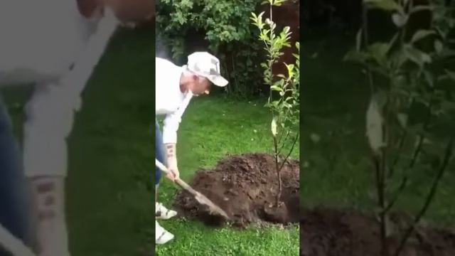 Дельный совет