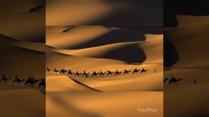 Гагик  Сарбазян /саксофон / караван ( А. Арутюнян)