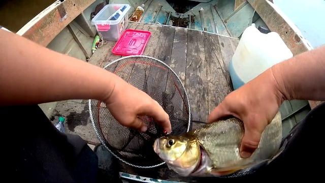 Улетная рыбалка! ЗМЕЯ в лодке! КРАСНОПЕРЫЕ атакуют! Рыбалка на все сто! смотреть онлайн