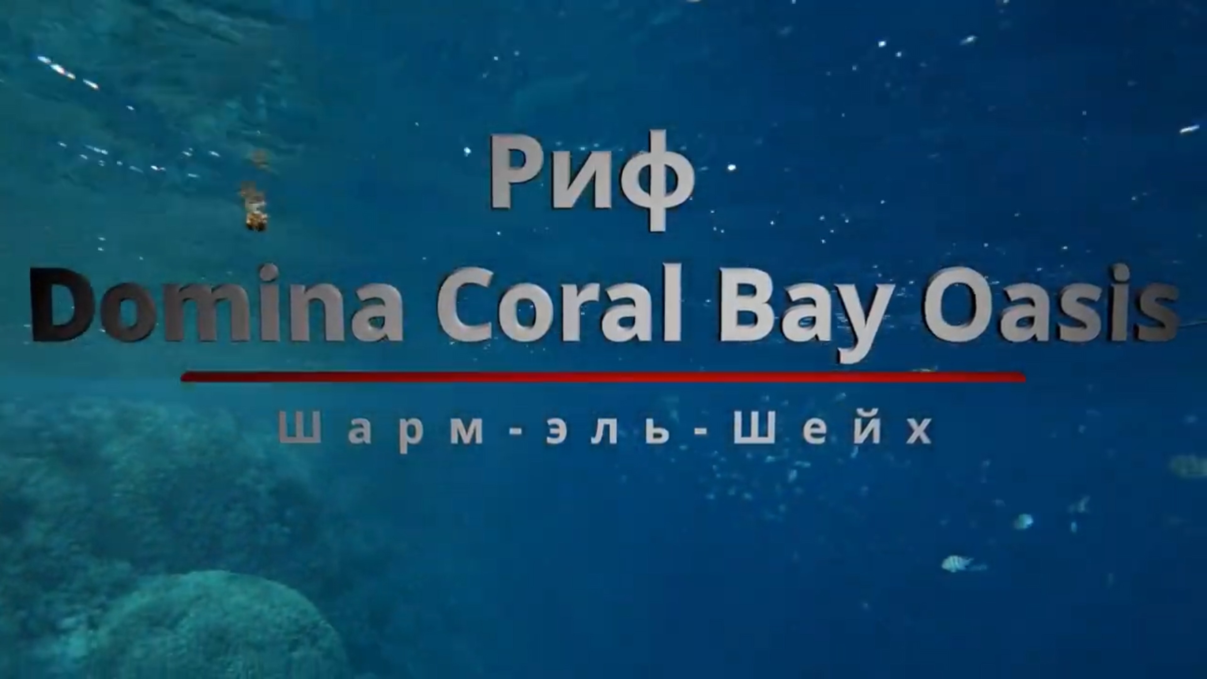 Риф Domina Coral Bay Oasis, Шарм-эль-Шейх