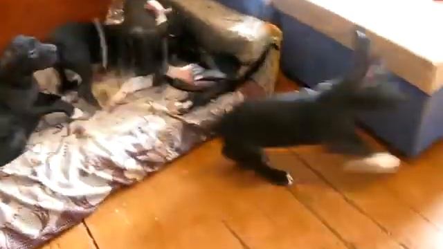 MVI 22311 смотреть онлайн