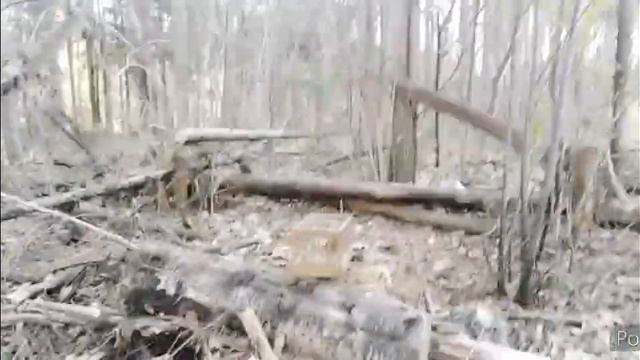 ЛОВЛЯ КЛЕСТОВ, ЭТО БЫЛА. ПОСЛЕДНЯЯ ЛОВЛЯ!!! смотреть онлайн