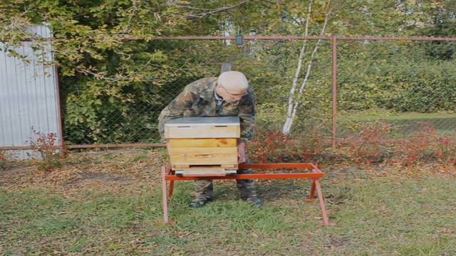 Установка беспроводных весов для пчеловодов под улей смотреть онлайн