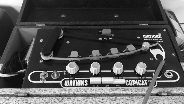 WEM COPICAT, Gibson SKYLARK amp - NIGHT DRIVE - Buckethead inspired emotional guitar instrumental смотреть онлайн