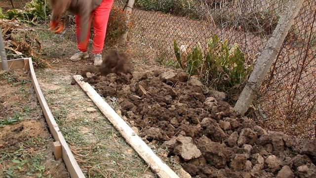 Божьи коровки нападают / Огородные заботы / смотреть онлайн