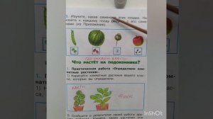 1 класс. ГДЗ. Окружающий мир. Рабочая тетрадь.Часть 1. Плешаков. Страницы 10-11. С комментированием