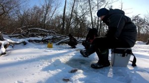 Псёл.  Вся рыба в корчах.  Окунь и плотва на безмотылку!