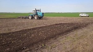 видео 3 БТЗ 244 к и плуг БЭК 7 весенняя обработка по подсолнечнику