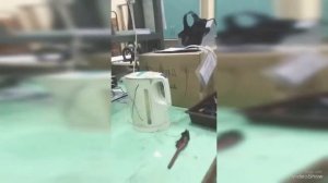 ПЕРЕГОНКА С ПАРОМ!!! ВЫВОДИМ ЧИСТЫЙ АНЕЛИН!!