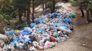 загрязнение почвы