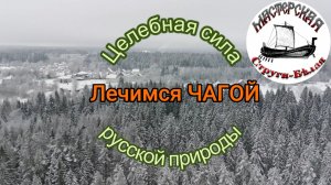 Лечимся чагой. Целебная сила русской природы.