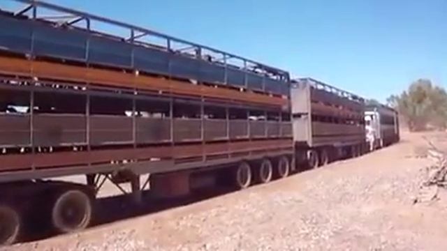 Австралия стайл смотреть онлайн