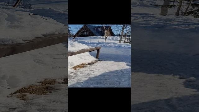 20230430_170955.mp4