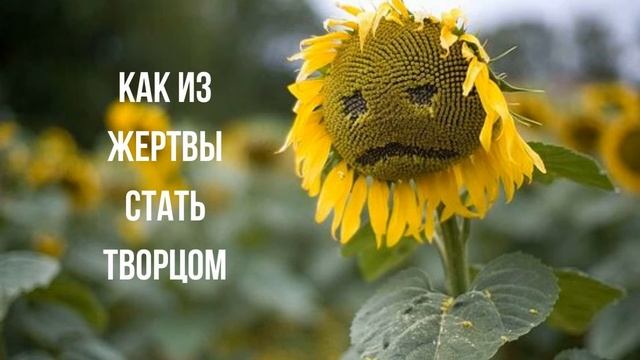 Практика. Как из Жертвы стать Творцом. Александр Иваницкий. смотреть онлайн