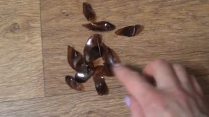 DIY делаем вазу из Пластиковой Бутылки!/Мастер-класс!