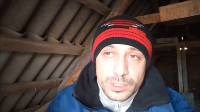 А если голуби не парованы, что делать? Ответы на вопросы в комментариях "№1".  Рубрика про голубей.