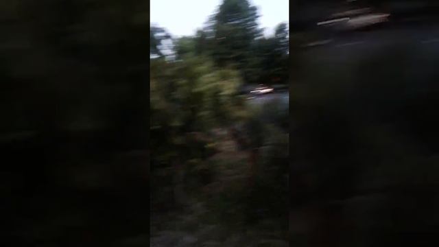 ?Moments of dance Bachata. Open Air in Sochi. Бачата. Танцы в Сочи. Школа танцев СальсаДэнс