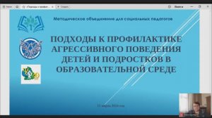 Подходы к профилактике агрессивного поведения детей и подростков в образовательной среде