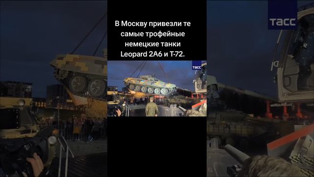 Выставка Leoparda в парке победа