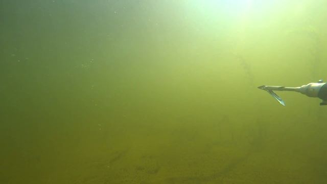 Подводная охота 22.10.2023 на Волге Щука №4 из 4 смотреть онлайн