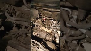 Запах газов, в салоне, Мерседес А160 w168.