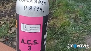 Покраска пластика на скутер ХОНДА - ДИО 27.