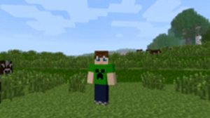 Minecraft For Nintendo Wii U And 3DS ?