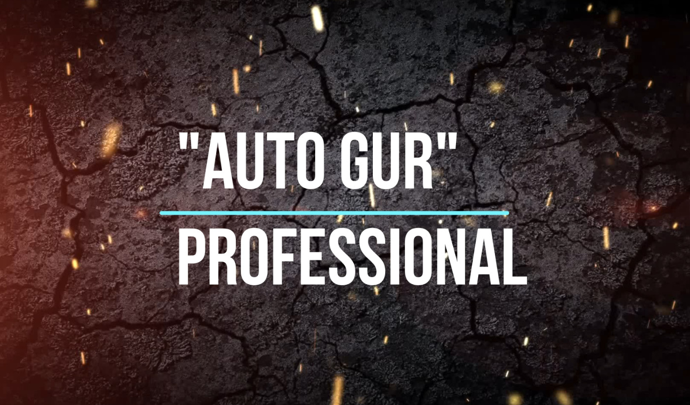 Auto GUR Professional