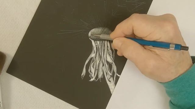 Scratchboard Art & Stuff: Dandelion смотреть онлайн
