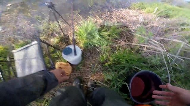 КИЛОГРАМОВЫЙ КАРАСЬ В ЛЕСНОЙ РЕЧУШКЕ! Ловля карася на поплавочную удочку.