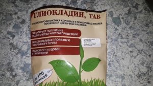 Триходерма. Разбираемся и выращиваем, подробно и простыми словами!