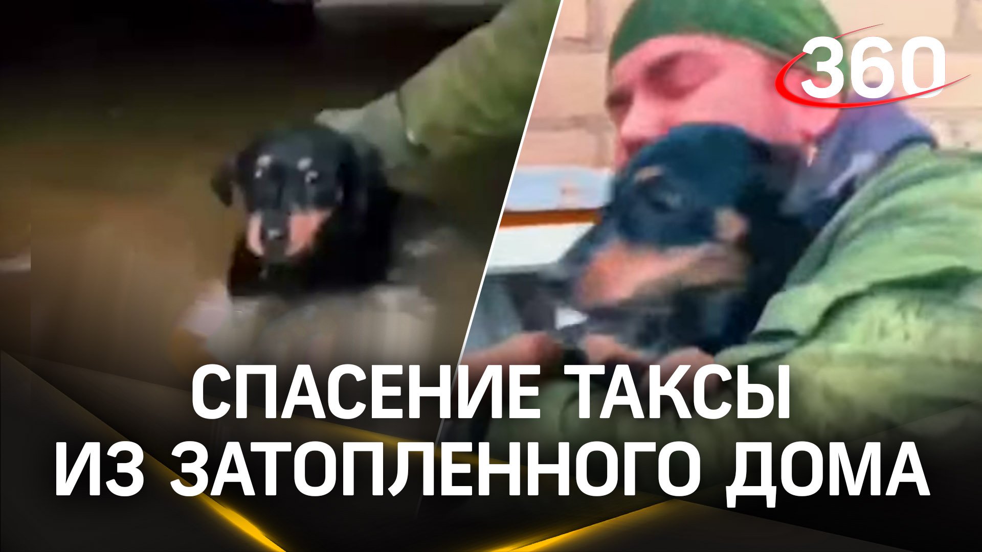 Видео: таксу вытащили из затопленного дома в пригороде Оренбурга