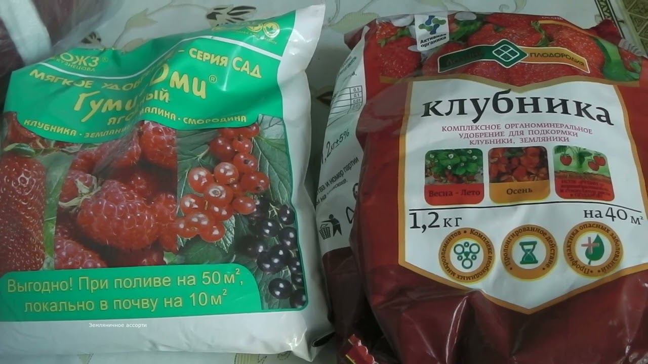 ЧЕМ ПОДКОРМИТЬ КЛУБНИКУ ВЕСНОЙ ДЛЯ ХОРОШЕГО УРОЖАЯ смотреть онлайн