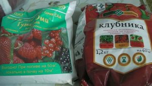 ЧЕМ ПОДКОРМИТЬ КЛУБНИКУ  ВЕСНОЙ   ДЛЯ ХОРОШЕГО УРОЖАЯ