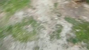 трицикл из альфы своими руками