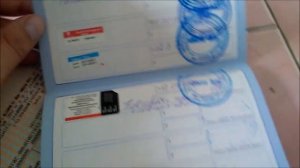 Как везти кошку в поезде по новым правилам 2019 г.