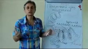 Доктор Лисовенко о капсулах МЭБО ЖКТ лайф