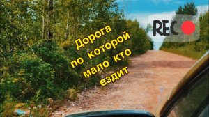 Дорога, по которой мало кто ездит #car #offroad
