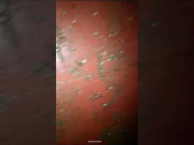 20 августа 2023 г. смотреть онлайн