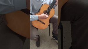 Гитара струйчатый клён