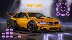 Cool BASS IN CAR ? BMW ? Ray Music - Tiger Bass