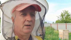 Сделал отводки без поиска матки, каков результат. Почему я не работаю магазинами. Цены на мёд